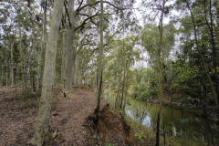 k-IMG_20261001_112015