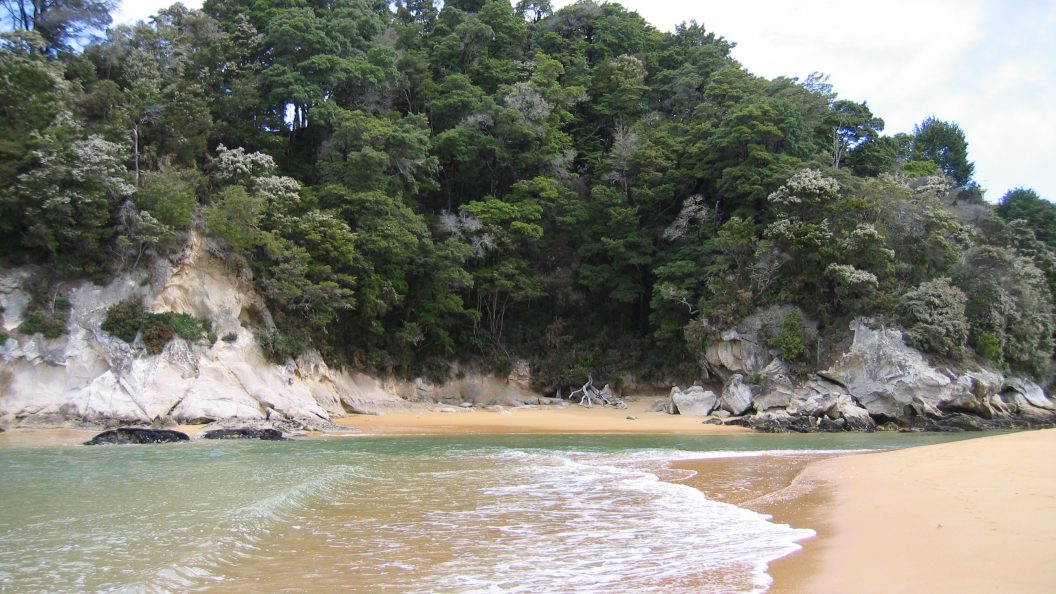 Bucht mit Wald in Neuseeland