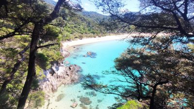 Wandern in den Tropen – Neuseelands Sommer