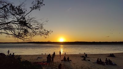 Sonne, Strand und Kakadu