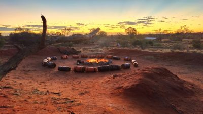 Abenteuer Outback – WTF’s a Mulga?