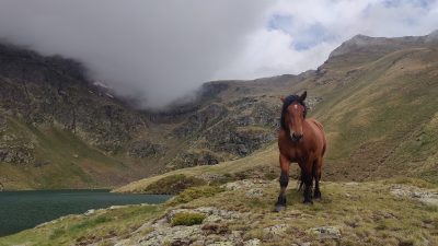 Andorra – einsames aber nasses Wanderparadies