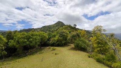 Black River Gorges – Berge statt Meer