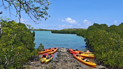 Abenteuer mit Kayaks